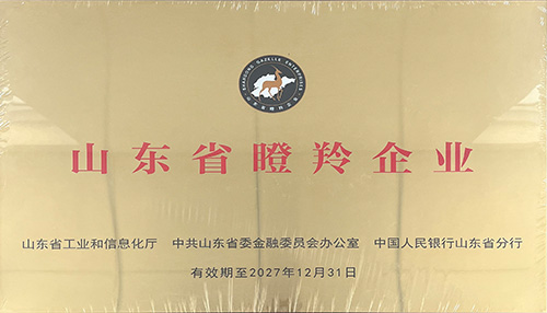 濟(jì)南百易長(zhǎng)青發(fā)展歷程